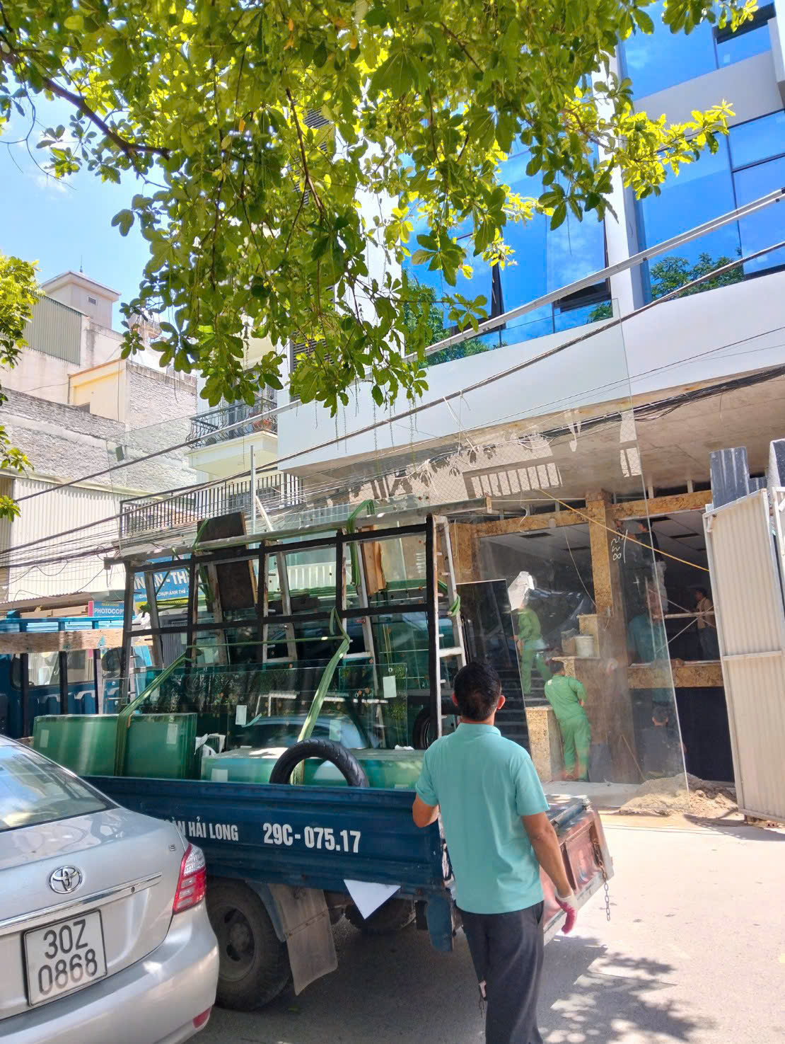 Tấm kính phản chiếu ánh nắng và hàng cây tại công trình mặt tiền